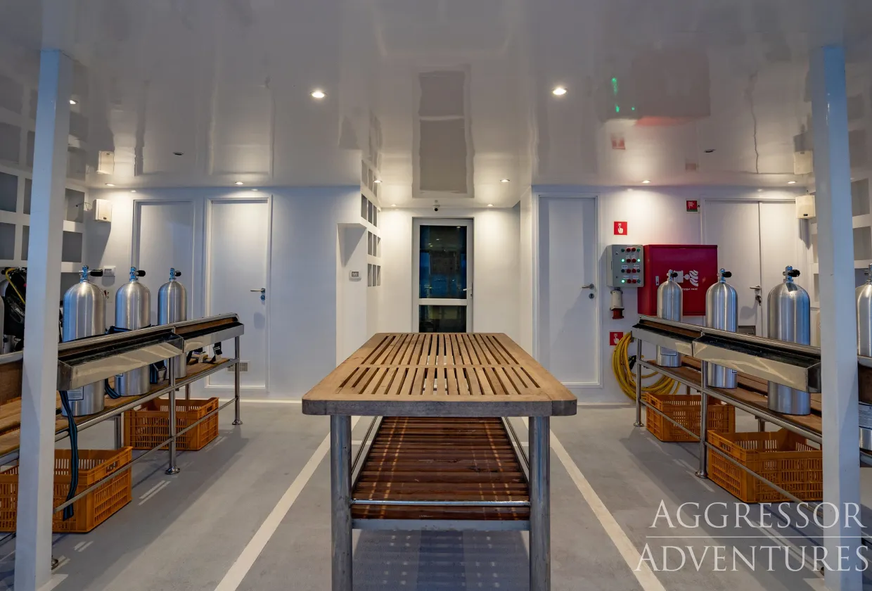 Philippines Aggressor