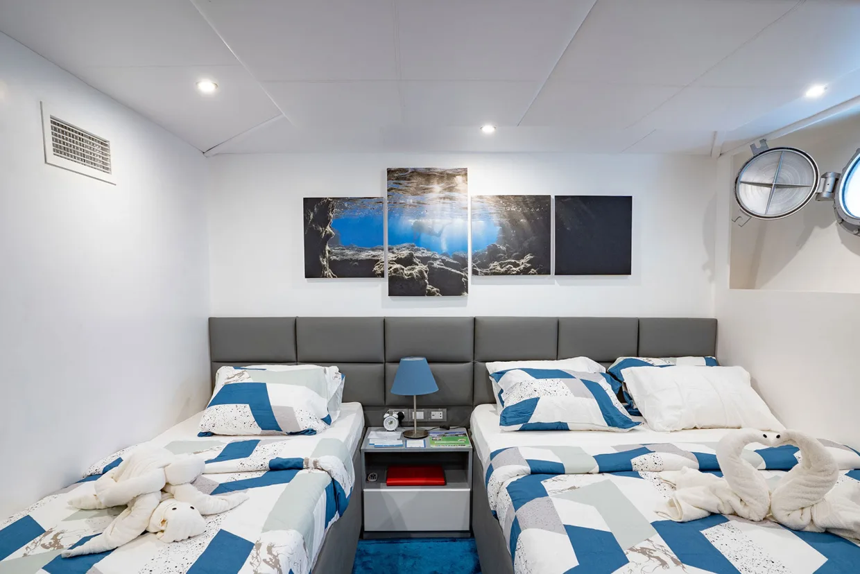 Deluxe Lower Deck cabin on Philippines Aggressor — two beds and round portholes