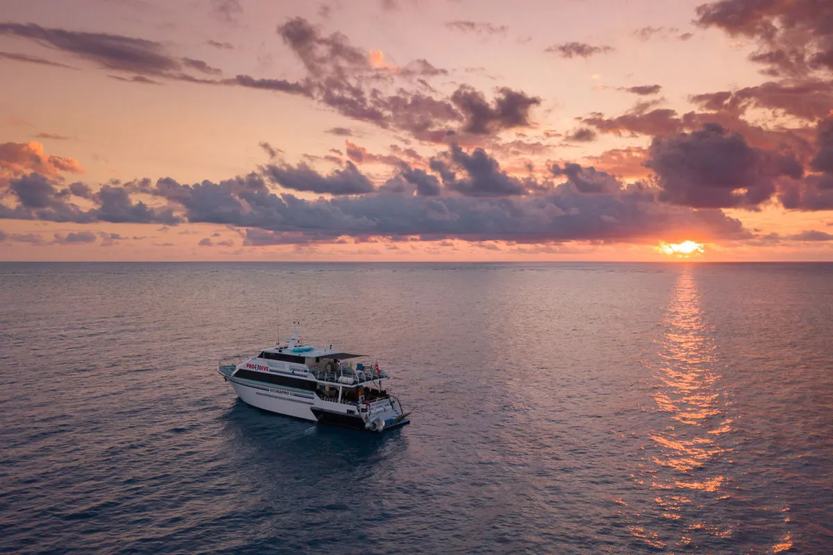 Pro Dive Cairns — фото 10, дайвинг Австралия