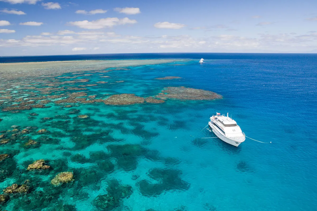 Pro Dive Cairns — фото 11, дайвинг Австралия