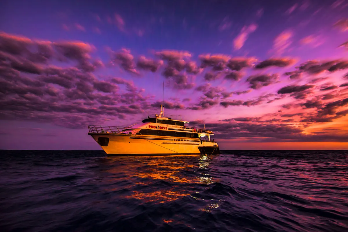 Pro Dive Cairns — фото 12, дайвинг Австралия