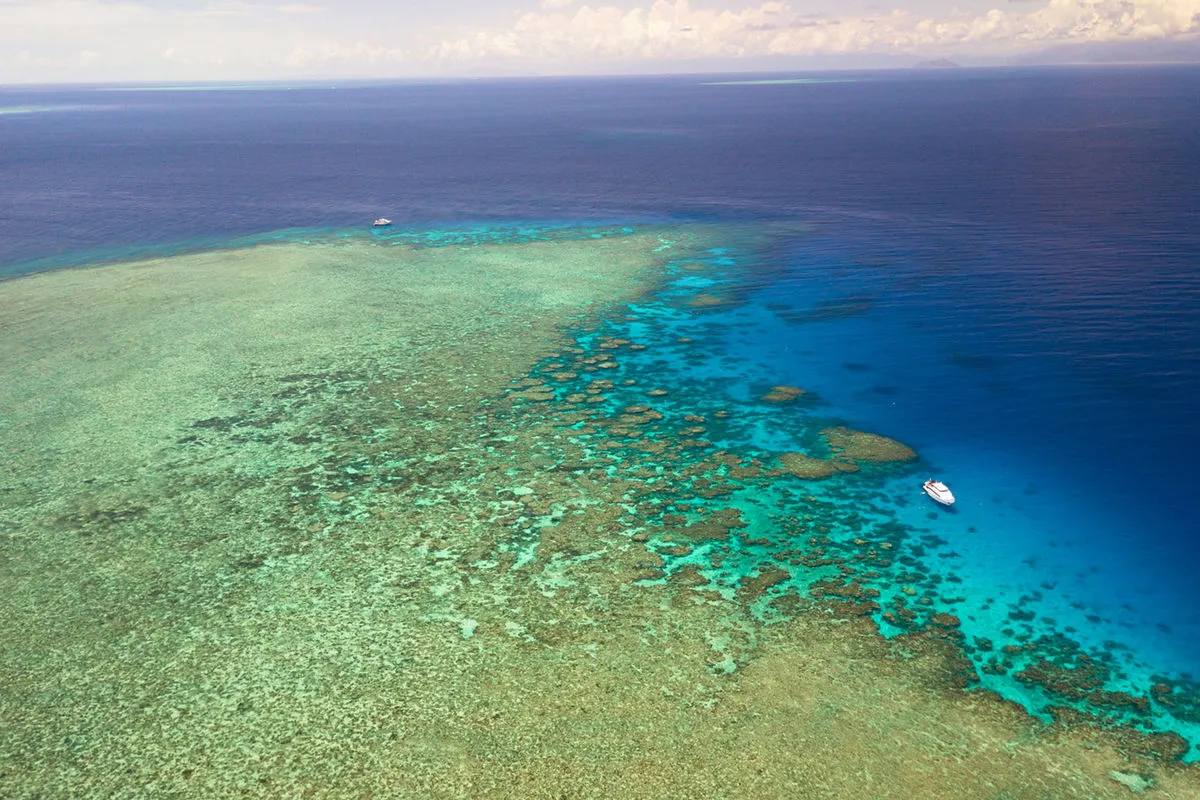Pro Dive Cairns — фото 14, дайвинг Австралия