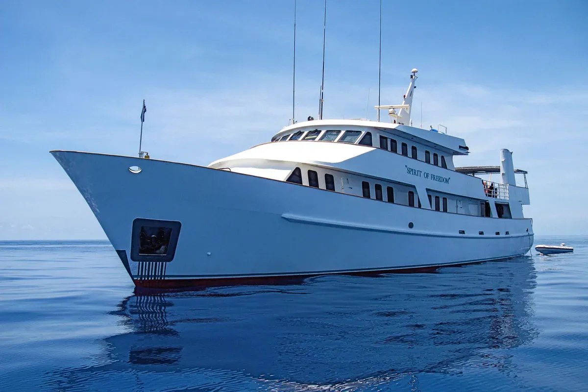 Pro Dive Cairns — фото 3, дайвинг Австралия