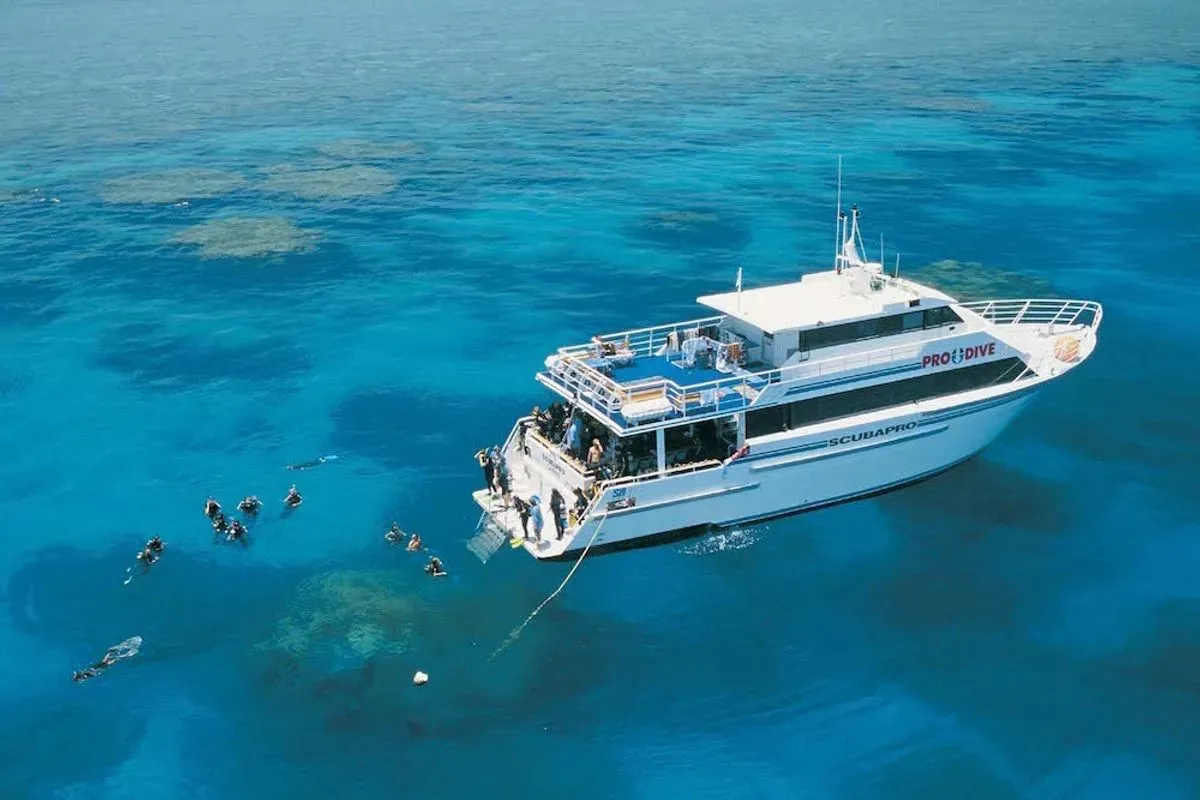 Pro Dive Cairns — фото 9, дайвинг Австралия