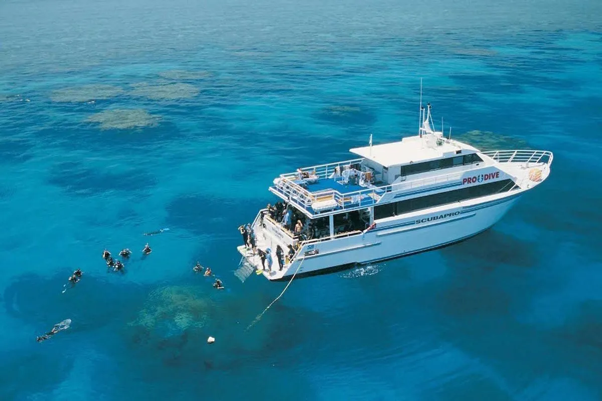 Pro Dive Cairns — фото 9, дайвинг Австралия