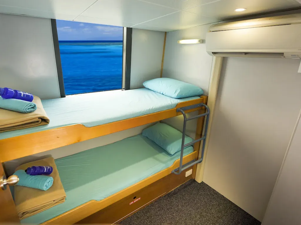 Twin Share Cabin — фото каюты