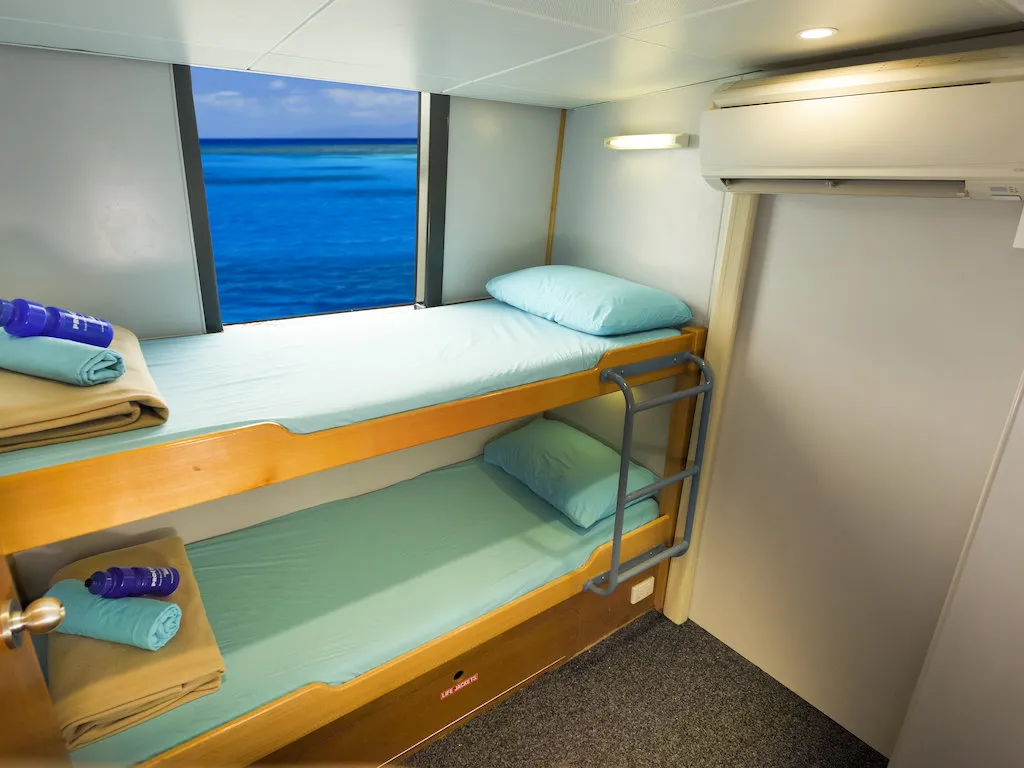 Twin Share Cabin — фото каюты