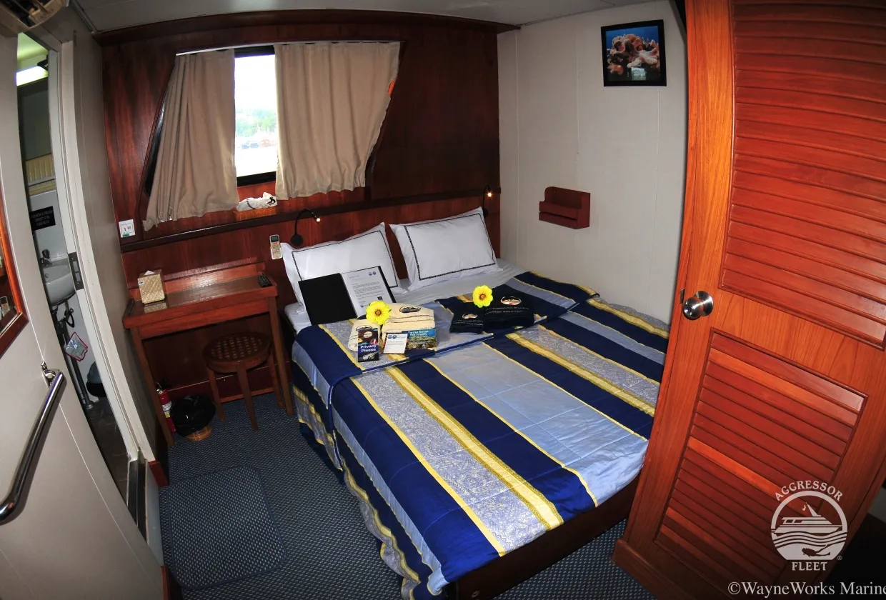 Raja Ampat Aggressor — фото 12, дайвинг Индонезия