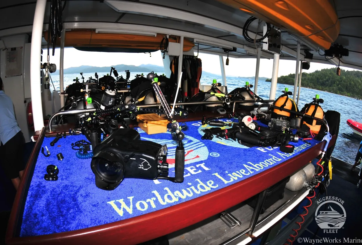 Raja Ampat Aggressor — фото 15, дайвинг Индонезия