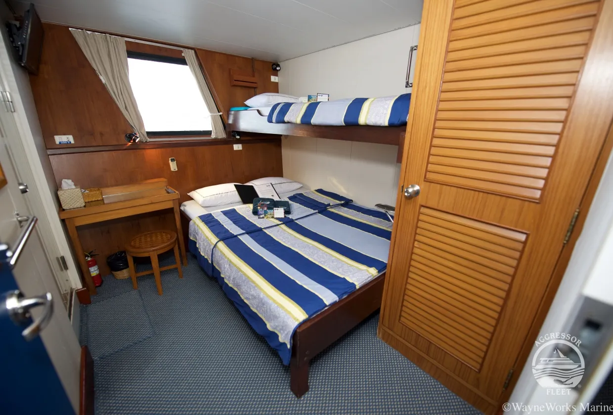 Raja Ampat Aggressor — фото 16, дайвинг Индонезия