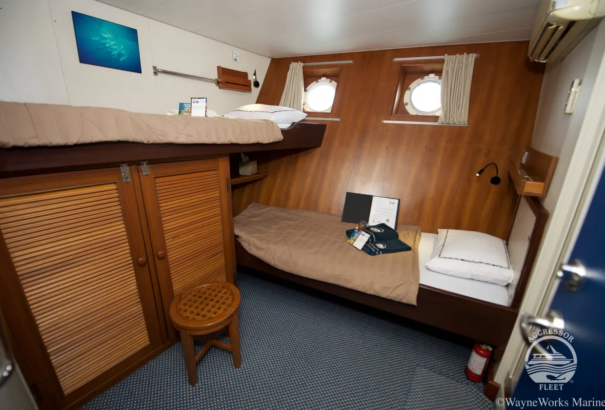 Raja Ampat Aggressor — фото 17, дайвинг Индонезия