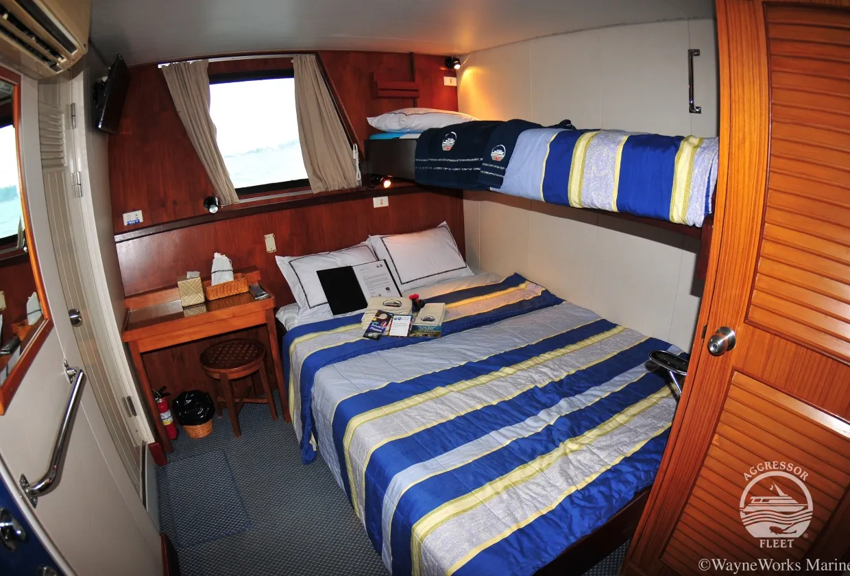 Raja Ampat Aggressor — фото 2, дайвинг Индонезия