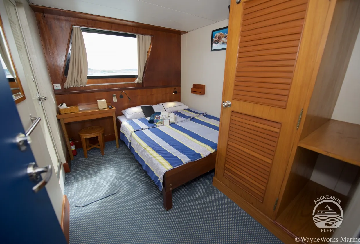 Raja Ampat Aggressor — фото 21, дайвинг Индонезия