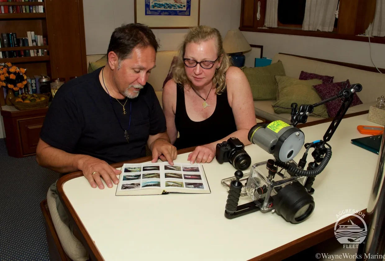 Raja Ampat Aggressor — фото 31, дайвинг Индонезия