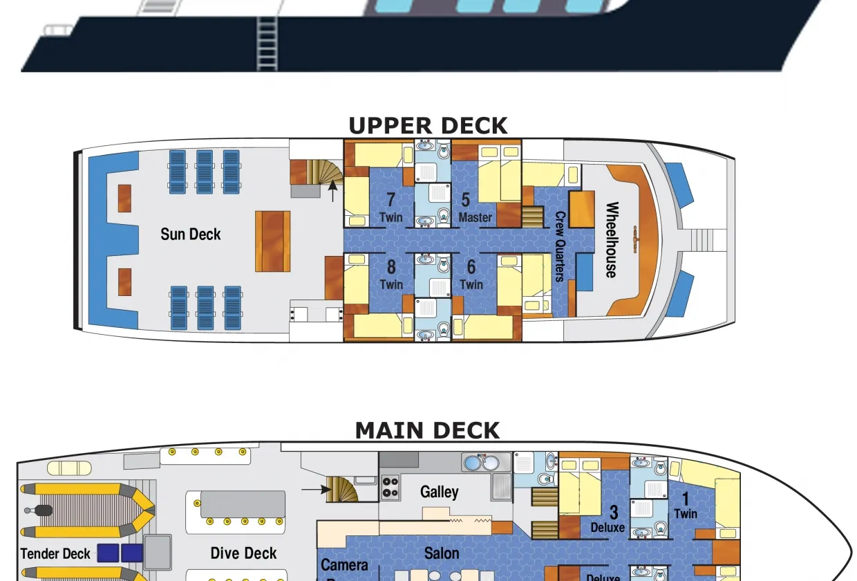 Raja Ampat Aggressor — фото 40, дайвинг Индонезия