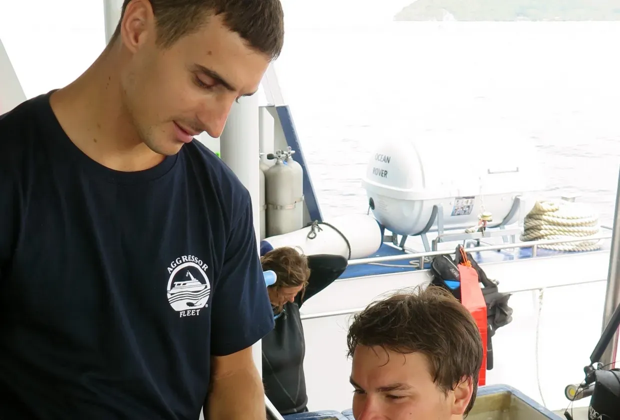 Raja Ampat Aggressor — фото 6, дайвинг Индонезия