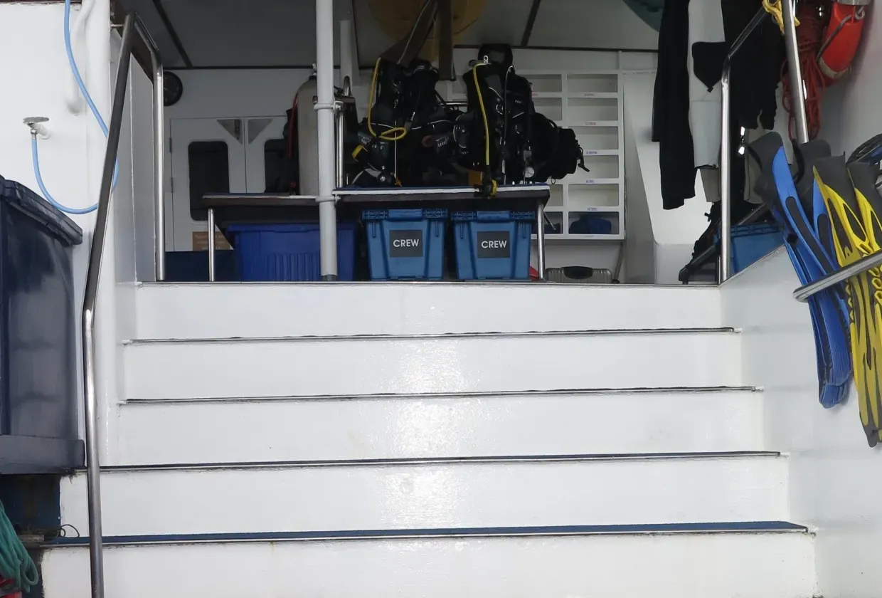 Raja Ampat Aggressor — фото 7, дайвинг Индонезия