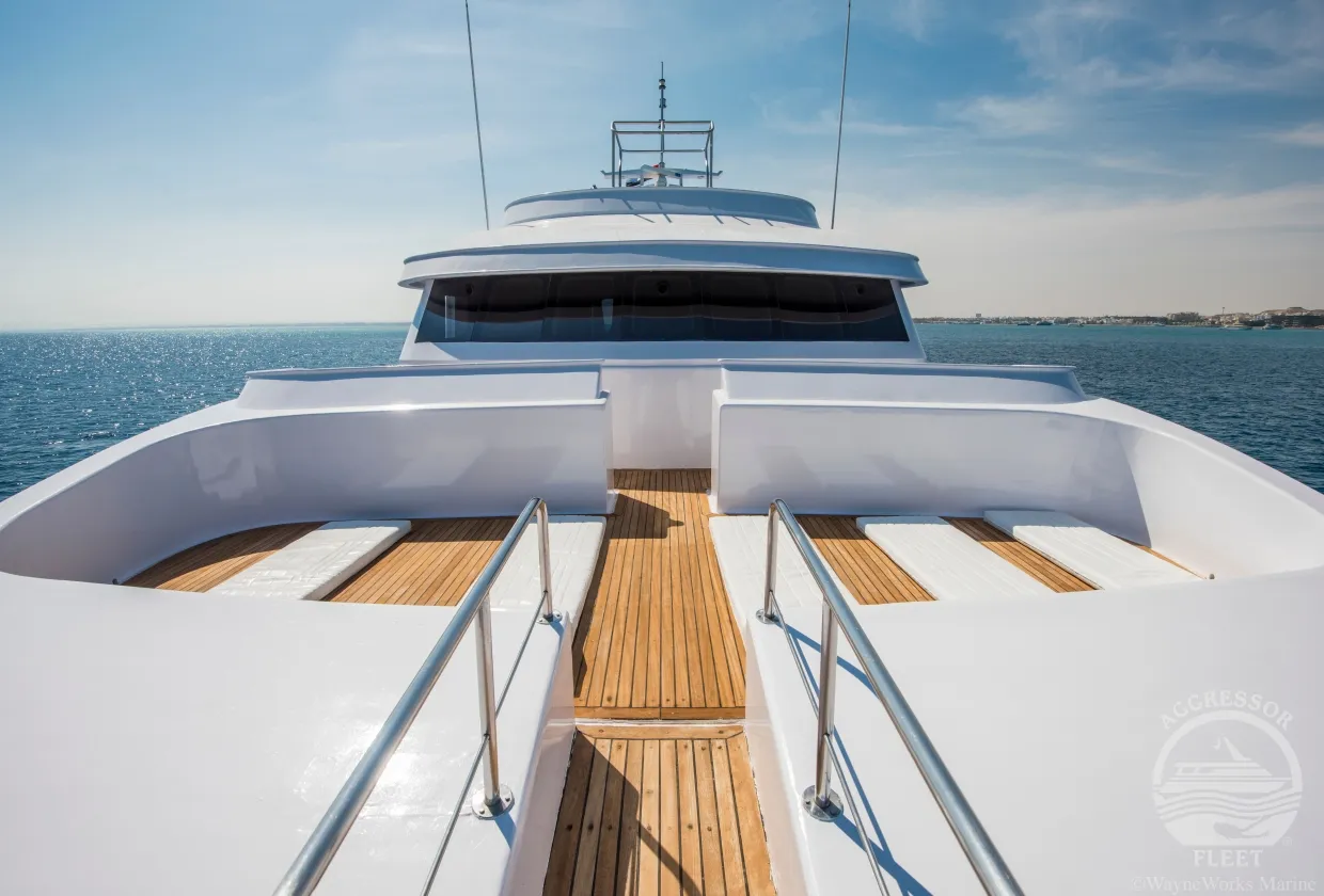 Red Sea Aggressor II — фото 12, дайвинг Египет