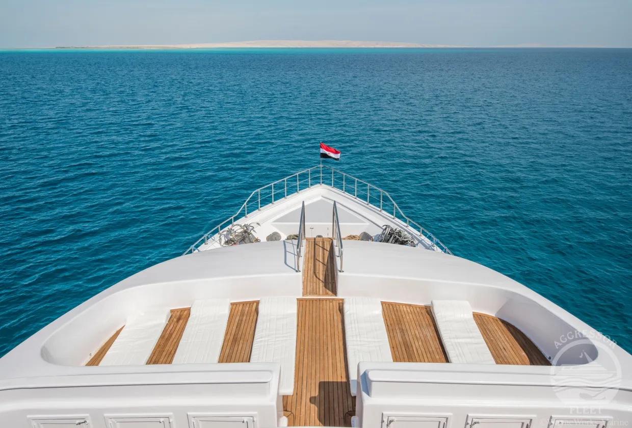 Red Sea Aggressor II — фото 13, дайвинг Египет
