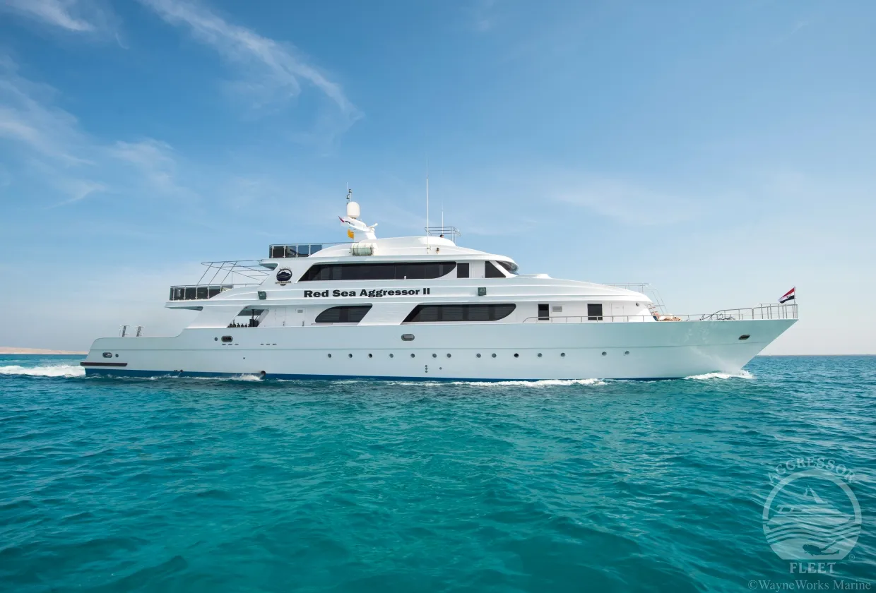 Red Sea Aggressor II — фото 14, дайвинг Египет