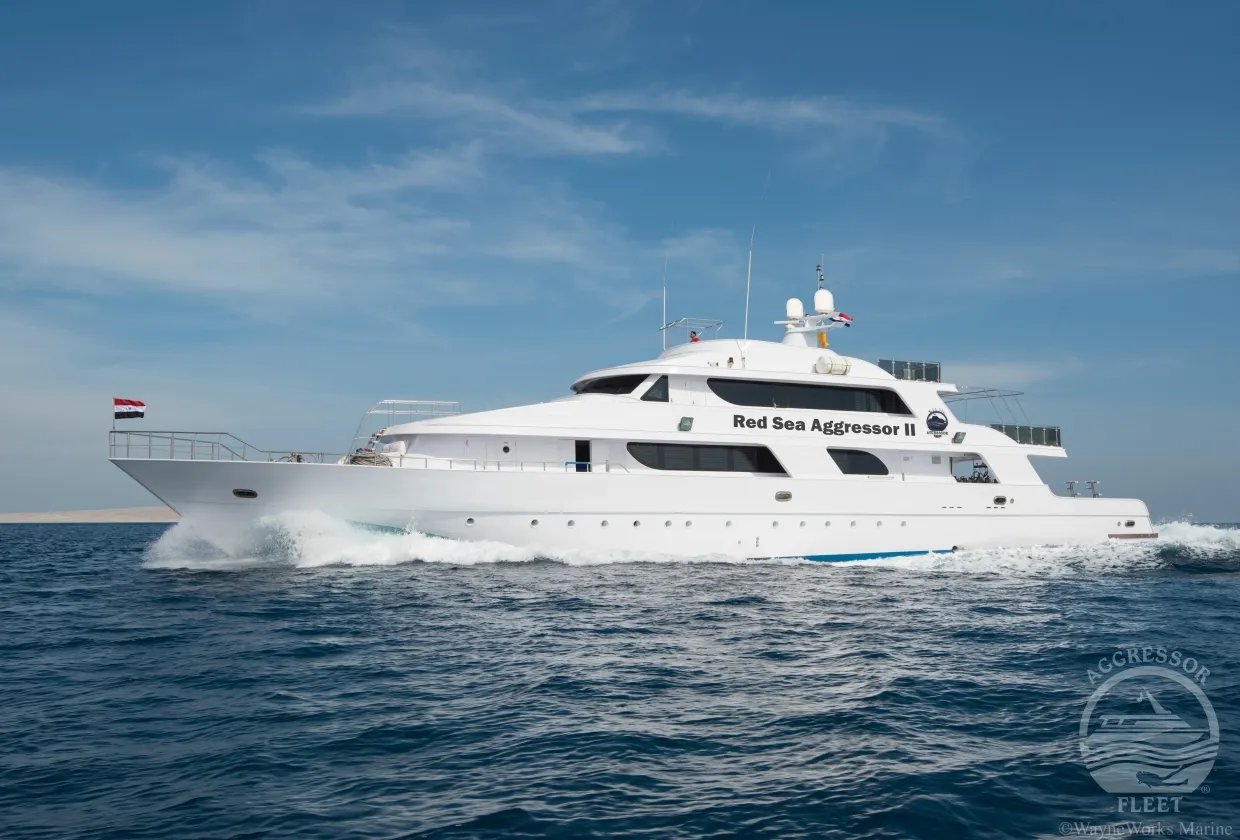Red Sea Aggressor II — фото 15, дайвинг Египет