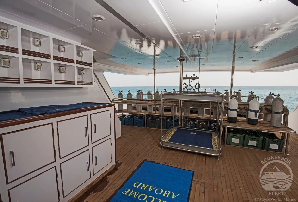 Red Sea Aggressor II — фото 16, дайвинг Египет