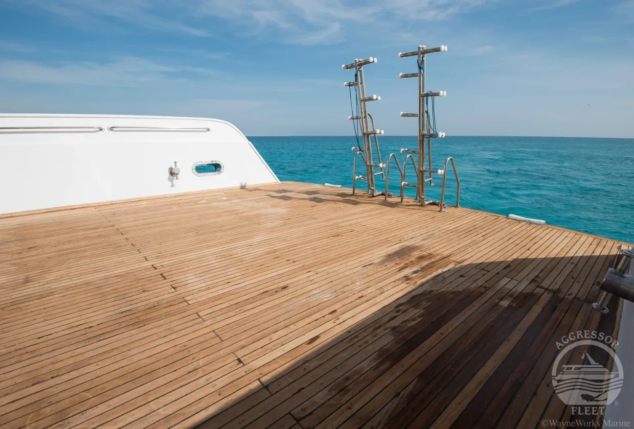 Red Sea Aggressor II — фото 17, дайвинг Египет