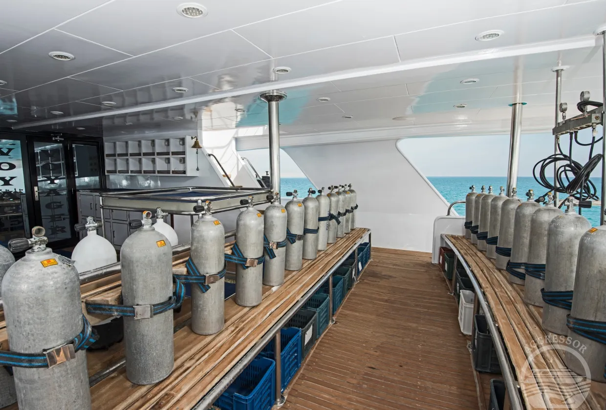 Red Sea Aggressor II — фото 18, дайвинг Египет