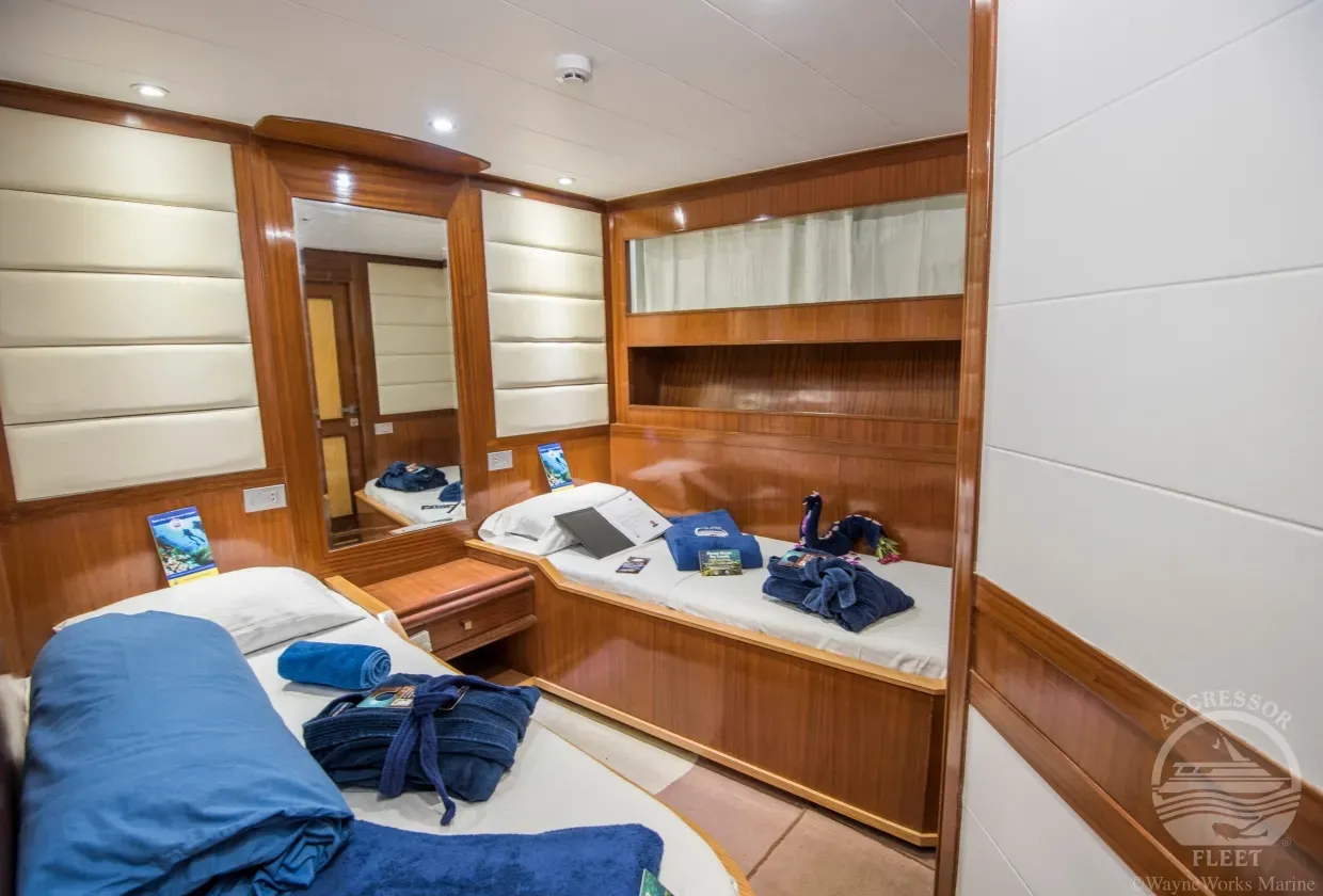 Red Sea Aggressor II — фото 2, дайвинг Египет