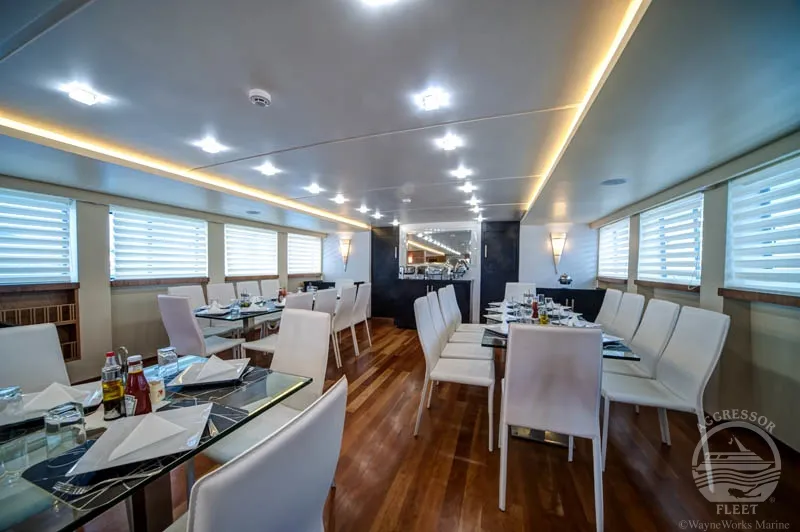 Red Sea Aggressor II — фото 21, дайвинг Египет