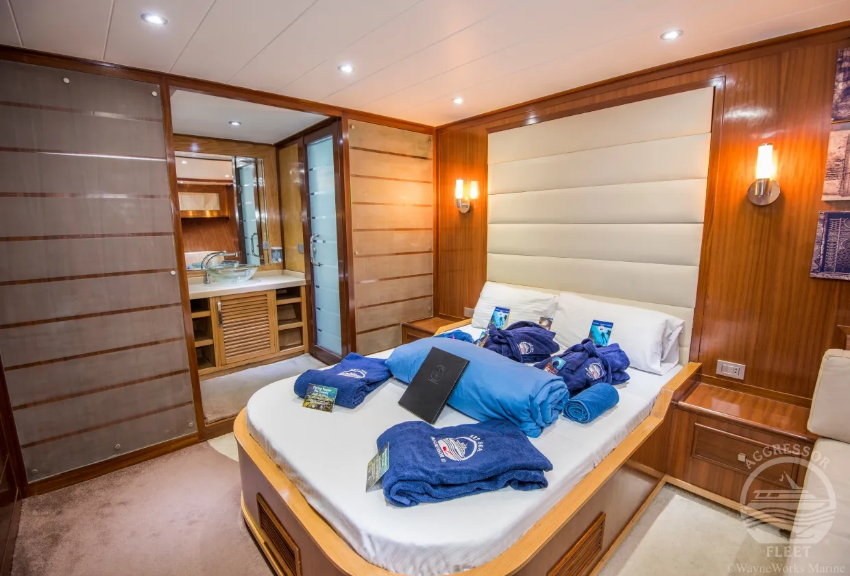 Red Sea Aggressor II — фото 4, дайвинг Египет