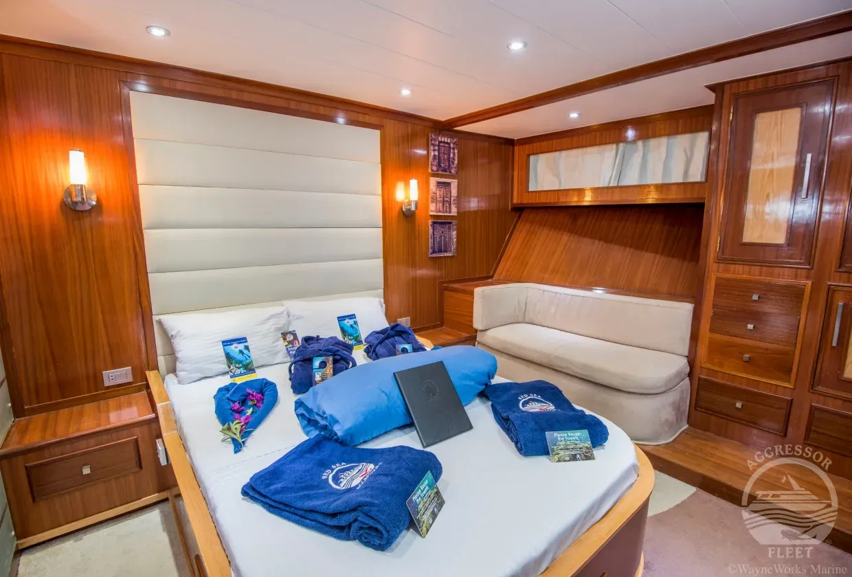 Red Sea Aggressor II — фото 5, дайвинг Египет