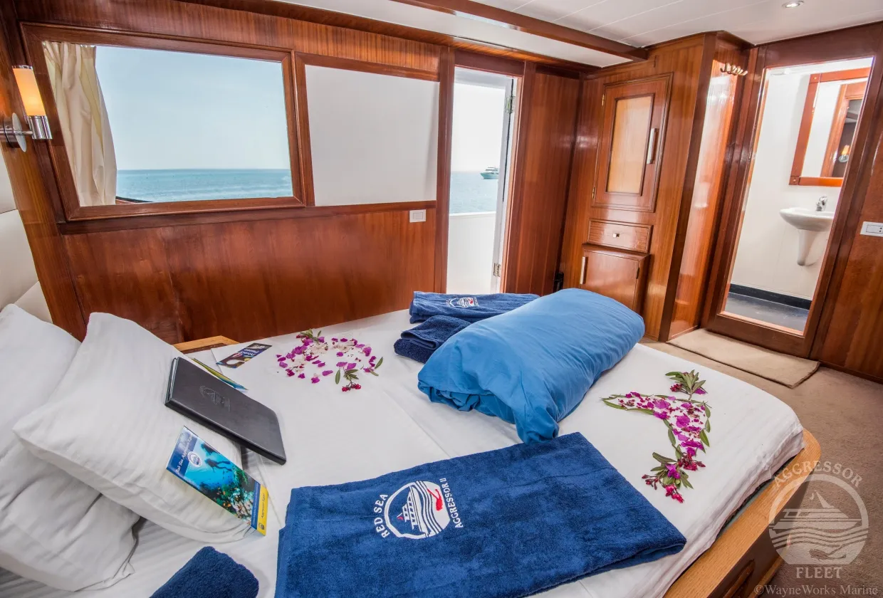 Red Sea Aggressor II — фото 8, дайвинг Египет