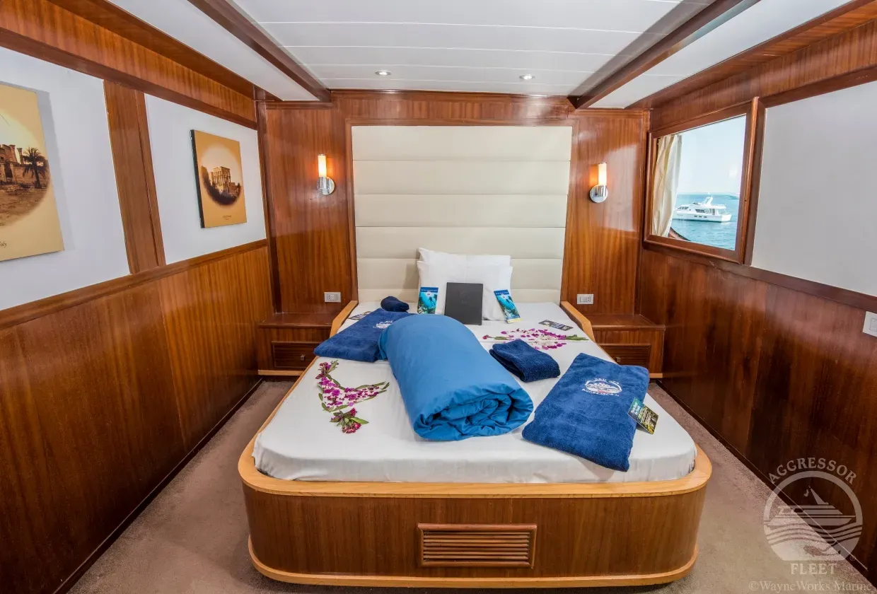 Red Sea Aggressor II — фото 9, дайвинг Египет