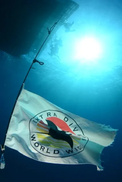 The Extra Divers pennant seen underwater