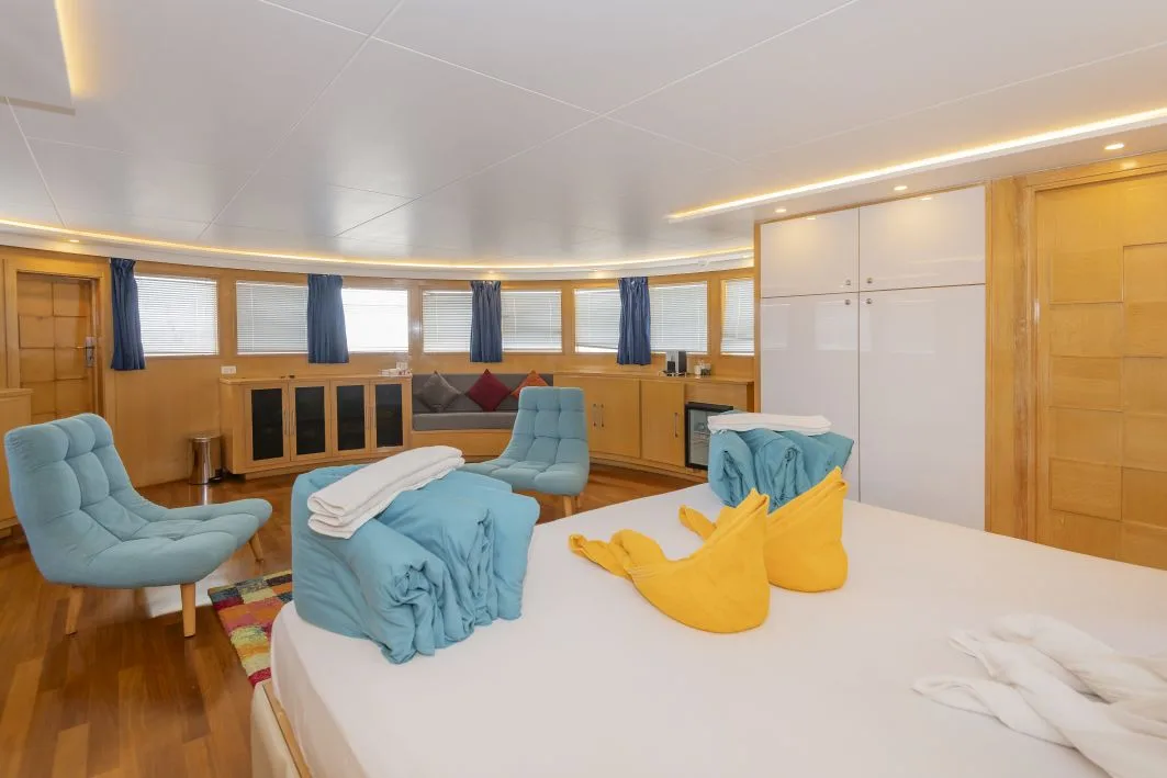 Royal Suite — the bed and armchairs by the windows