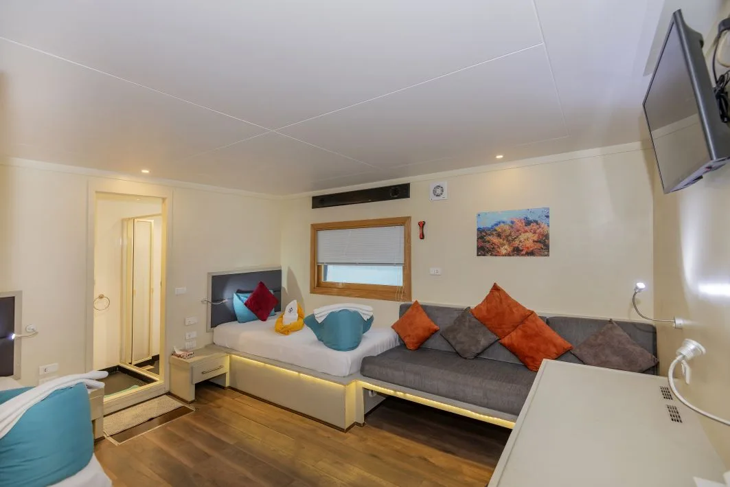 Superior lower deck cabin with twin beds, sofa and TV