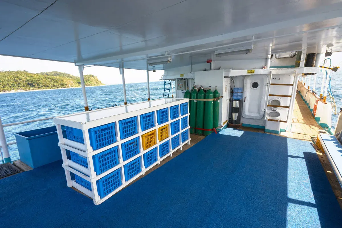 Resolute — фото 10, дайвинг Филиппины