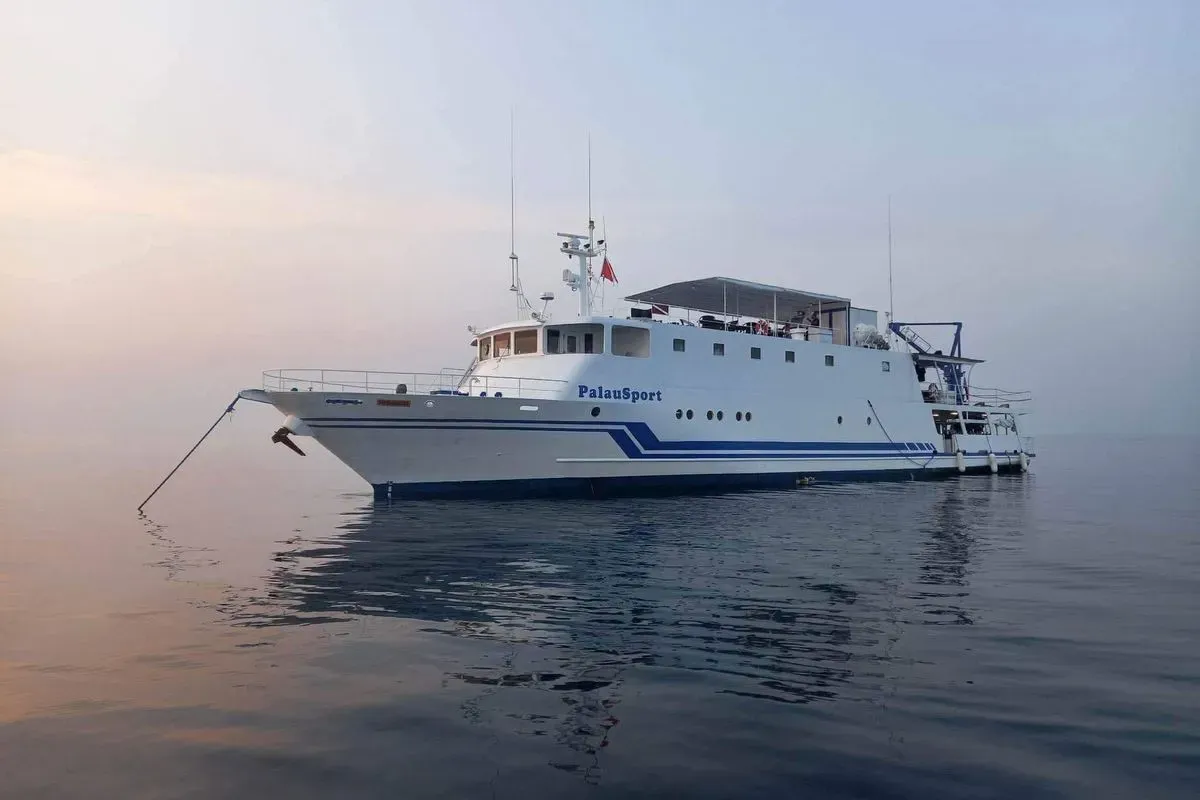 Resolute — фото 6, дайвинг Филиппины