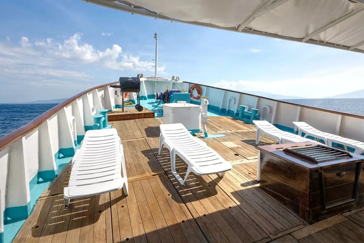 Resolute — фото 8, дайвинг Филиппины