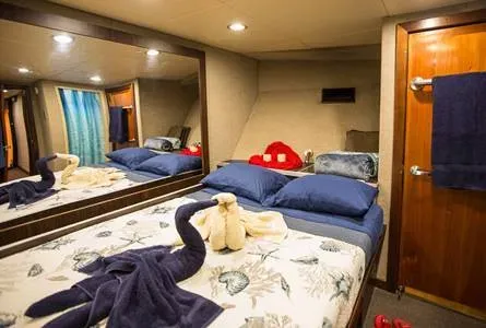 Master Stateroom — фото каюты