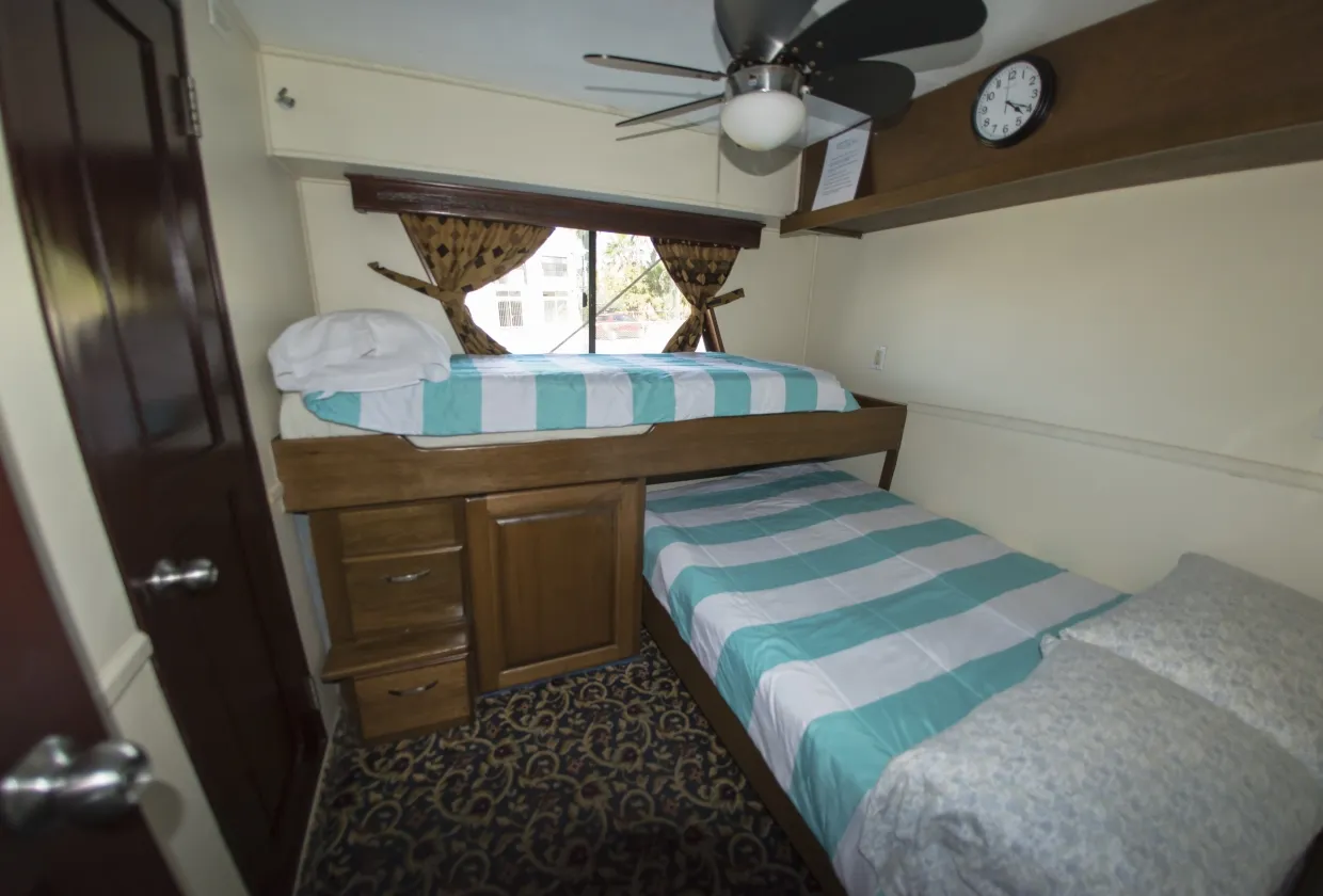 Rocio Del Mar — фото 105, дайвинг Мексика