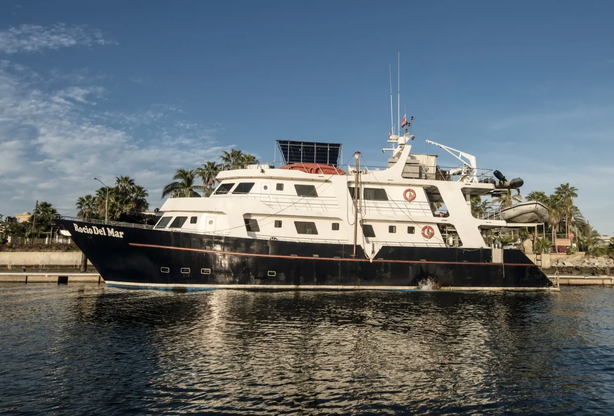Rocio Del Mar — фото 109, дайвинг Мексика