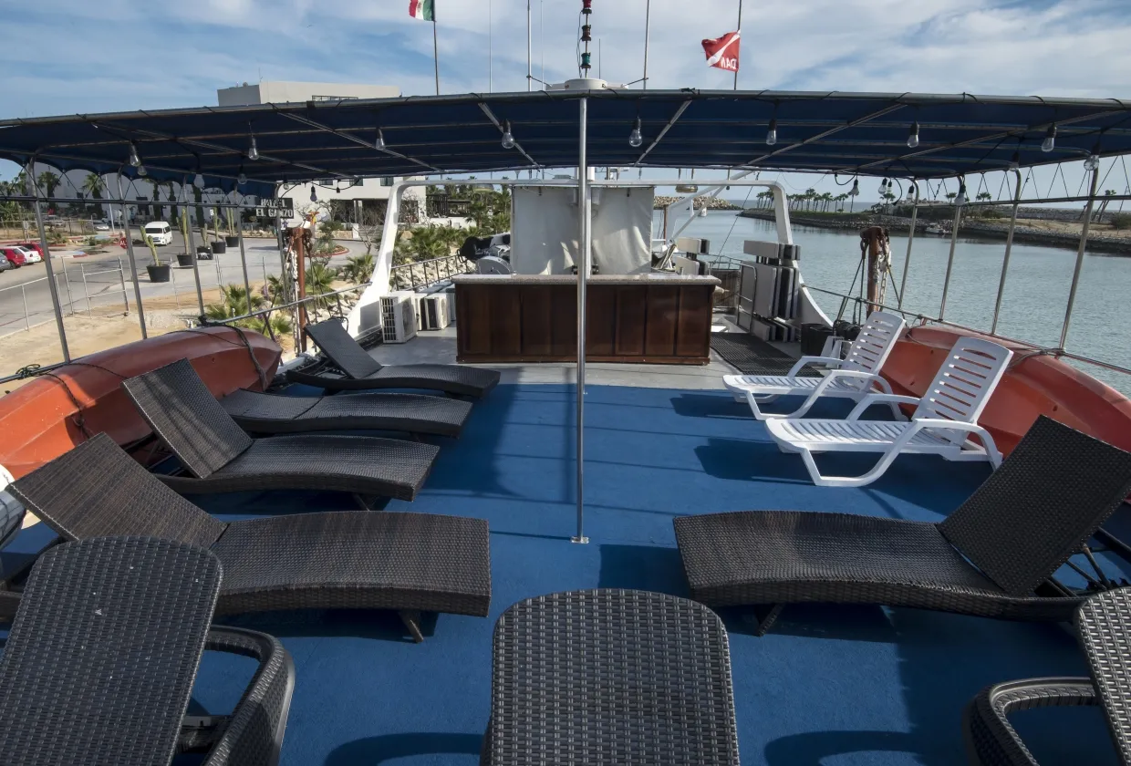 Rocio Del Mar — фото 110, дайвинг Мексика