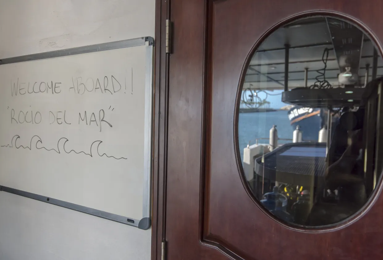 Rocio Del Mar — фото 113, дайвинг Мексика