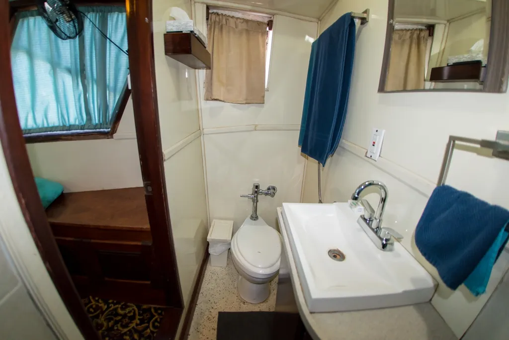 Rocio Del Mar — фото 27, дайвинг Мексика