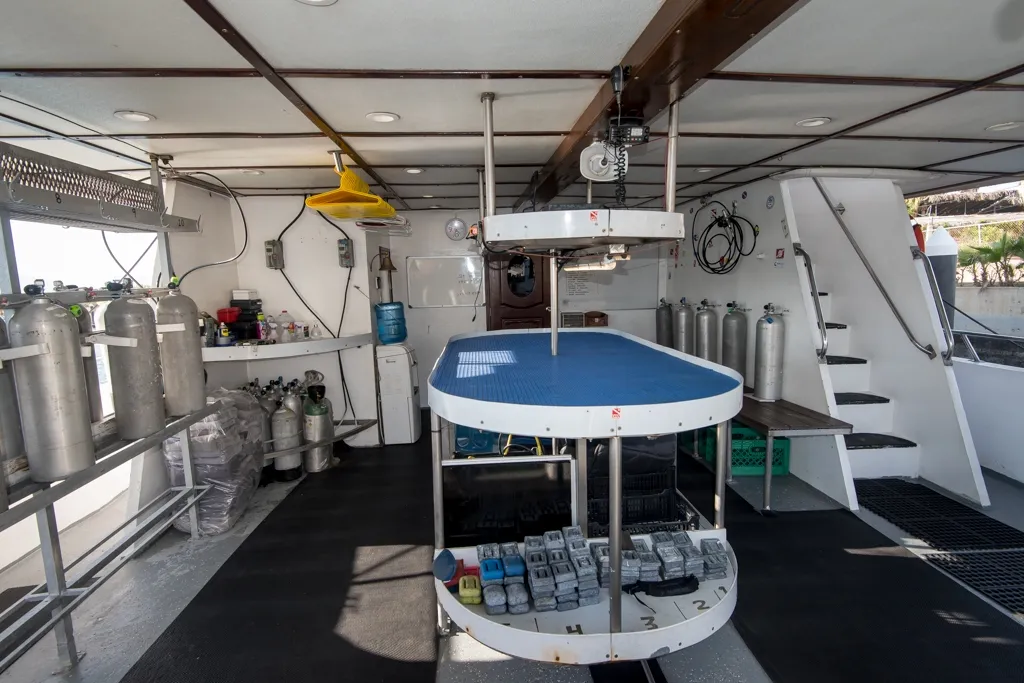 Rocio Del Mar — фото 34, дайвинг Мексика