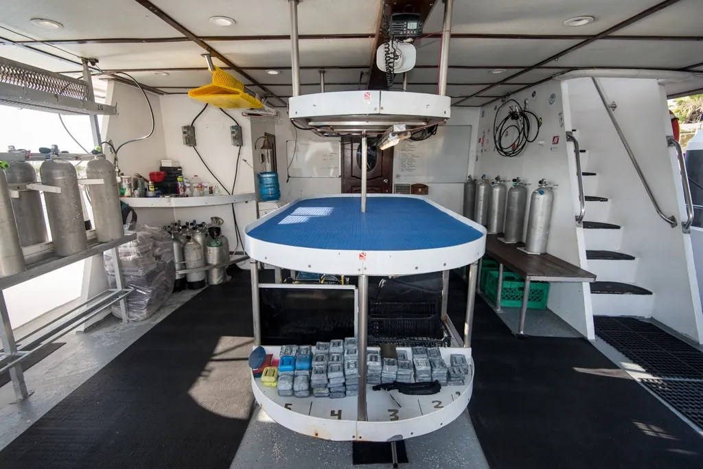 Rocio Del Mar — фото 35, дайвинг Мексика