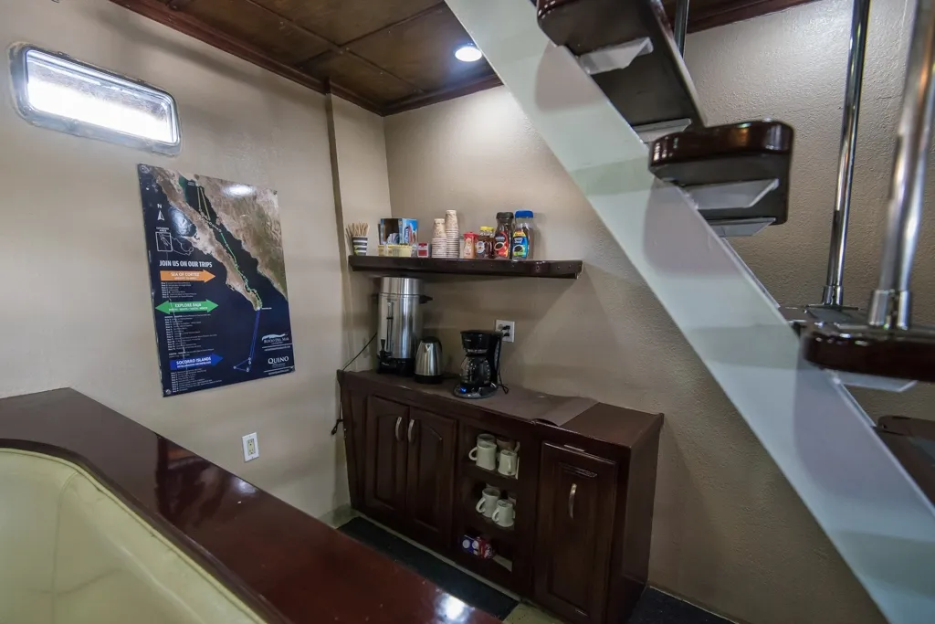 Rocio Del Mar — фото 37, дайвинг Мексика