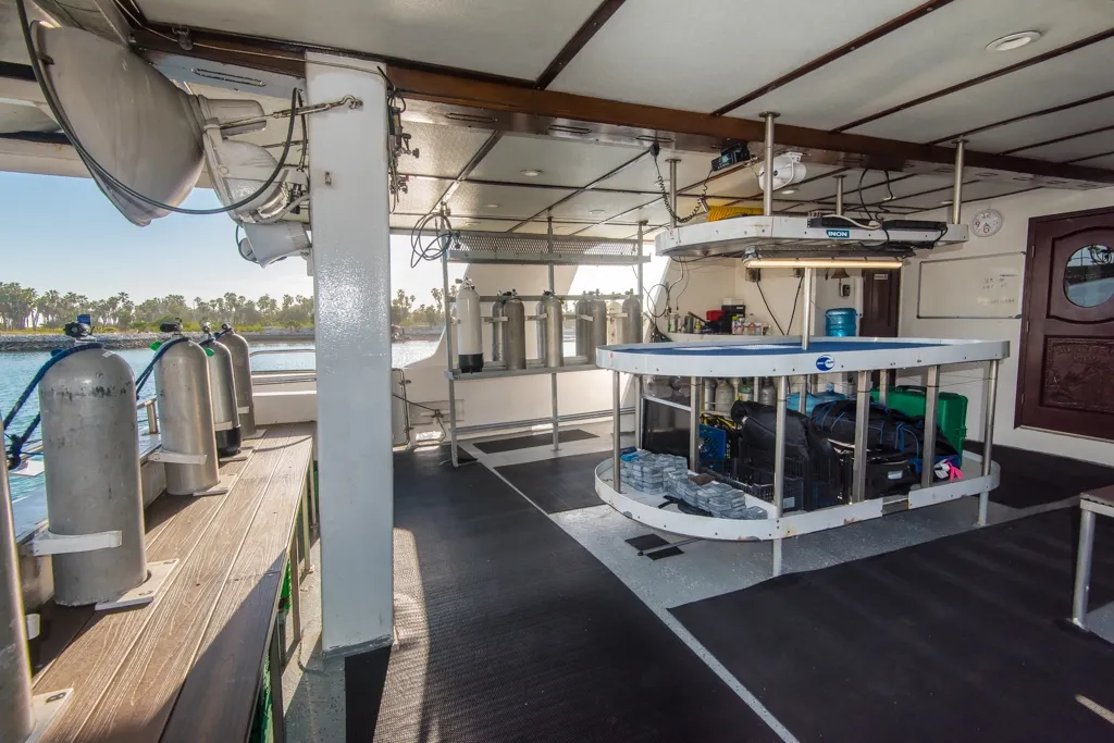 Rocio Del Mar — фото 44, дайвинг Мексика